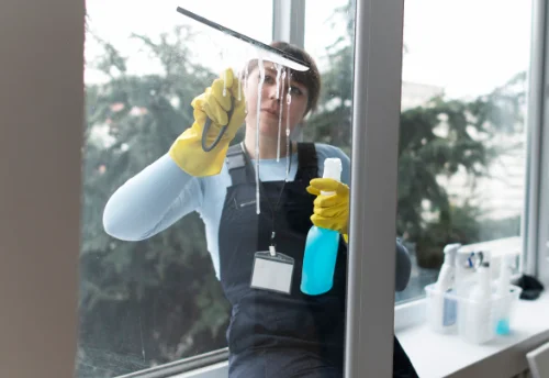 Nettoyage de vitres intérieures et extérieures à Landigou